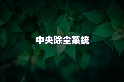 中央除尘系统