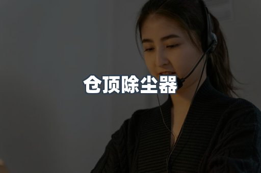 仓顶除尘器